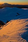 17_Neve dorata